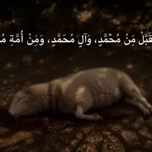 Memahami Hadis Nabi Berqurban Satu Ekor Domba untuk Satu Keluarga