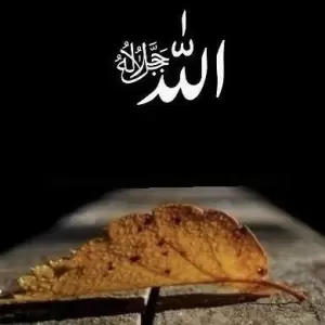 Pembelaan Allah Itu Pasti