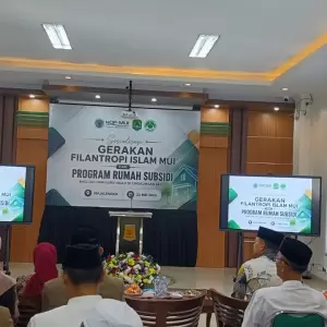 IsDF MUI