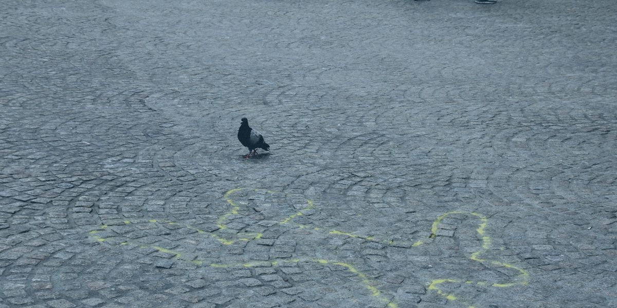 Marak Kasus Pembunuhan, MUI: Perbuatan Yang Sangat Dilarang dan Dosa Besar