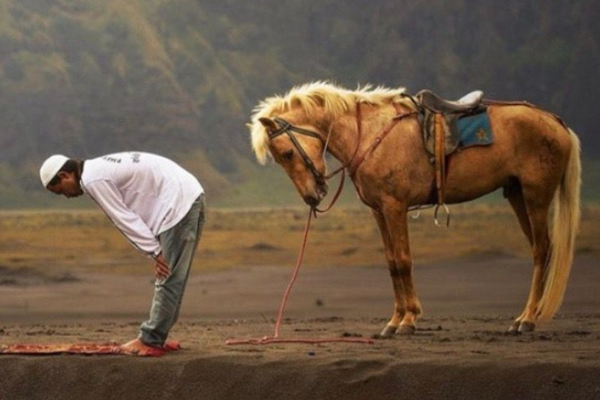 Musafir Tetap Bisa Shalat Sunnah Rawatib? Begini Penjelasan Hukum dan Detail Tuntunannya