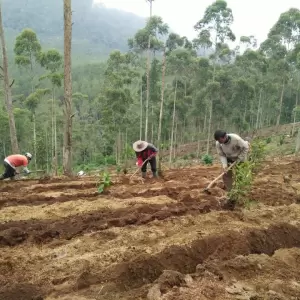Hari Santri dan Amanah Merawat Bumi: Meneguhkan Ekoteologi dalam Kehidupan Pesantren