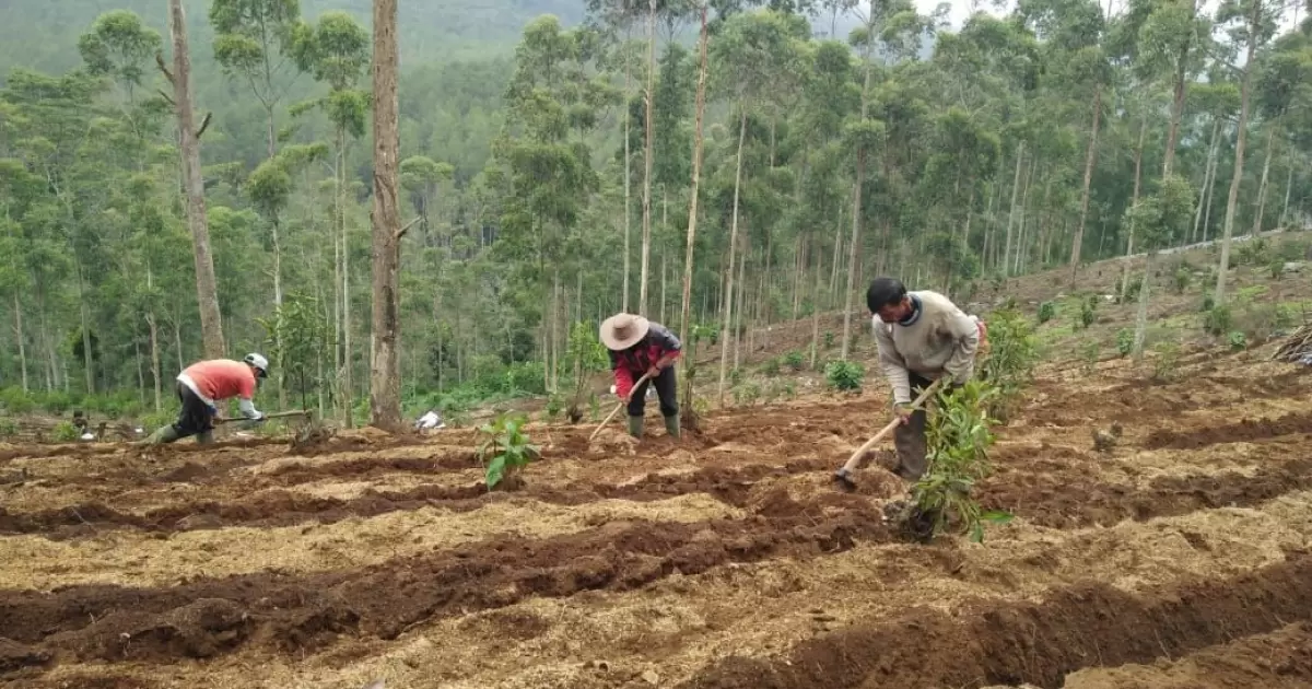 Hari Santri dan Amanah Merawat Bumi: Meneguhkan Ekoteologi dalam Kehidupan Pesantren
