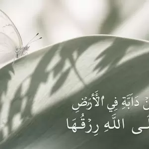 Khutbah Jumat: Qana’ah dalam Perjuangan dan Kepasrahan