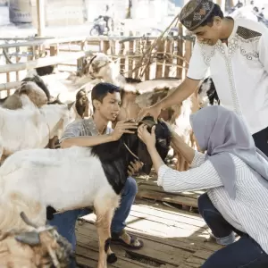 Berqurban Itu Berat, yang Ringan Beralasan
