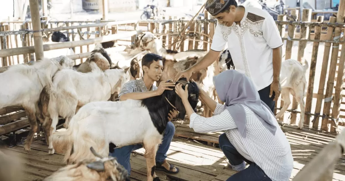 Berqurban Itu Berat, yang Ringan Beralasan