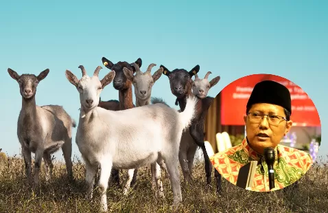 Sabar Berkurban Menuju Qurban