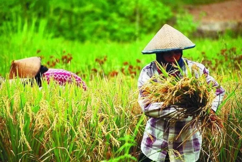 Soroti Isu Ketahanan Pangan, Komisi PRK MUI dan Kementerian Pertanian Gelar Seminar