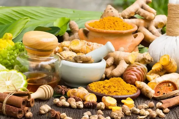 Di Webinar MUI, Pakar: Herbal Berpotensi Jadi Obat Alternatif Covid-19.