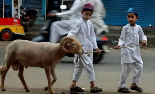 Covid-19 Meninggi, MUI-BNPB Sarankan Perketat Protokol Kesehatan Saat Berqurban