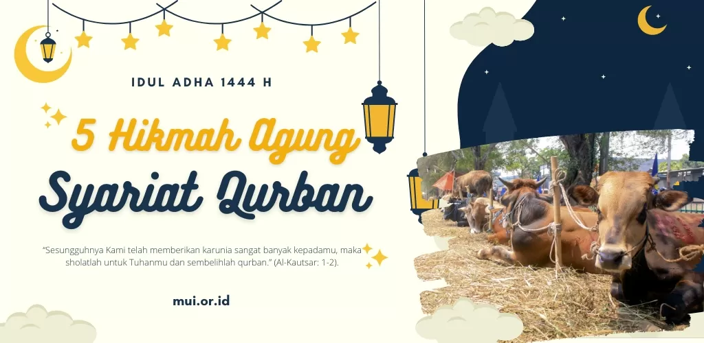 Idul Adha dan 5 Hikmah Agung Syariat Qurban