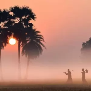 Khutbah Jumat: Merawat Alam, Menghormati Makhluk Allah