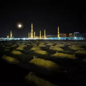 Mati Syahid dalam Perspektif Hadis dan Penjelasan Ulama