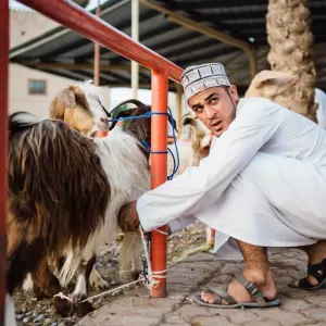 Khubah Jumat: Mempertahankan Spirit Qurban dan Haji Pasca-Idul Adha