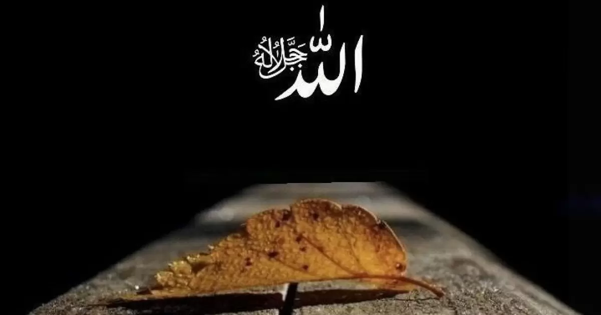 Pembelaan Allah Itu Pasti