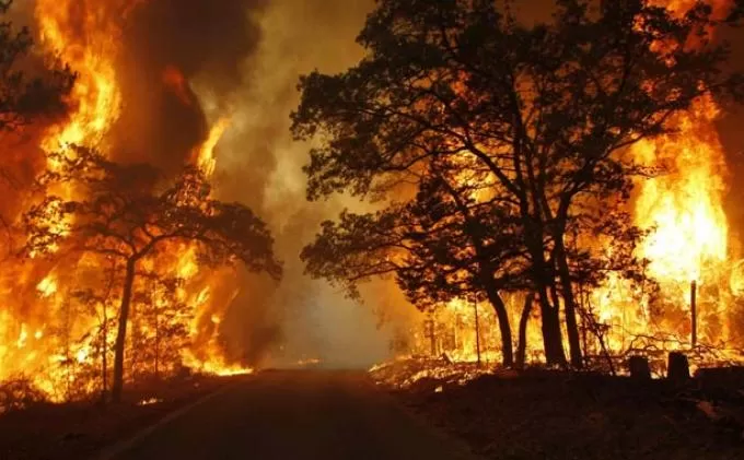MUI Kalbar: Haram Hukumnya Bakar Lahan Apapun Alasannya