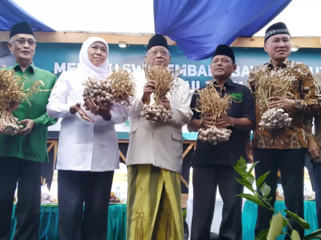 Panen Perdana Bawang Putih Pinbas MUI Jatim Dihadiri Gubernur Jatim