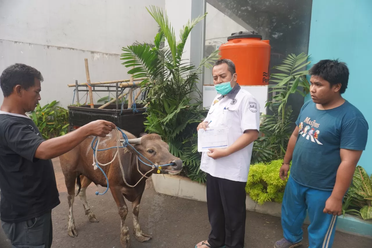 MUI-Baznas Jajaki Kerja Sama Penyaluran Qurban ke Wilayah 3 T