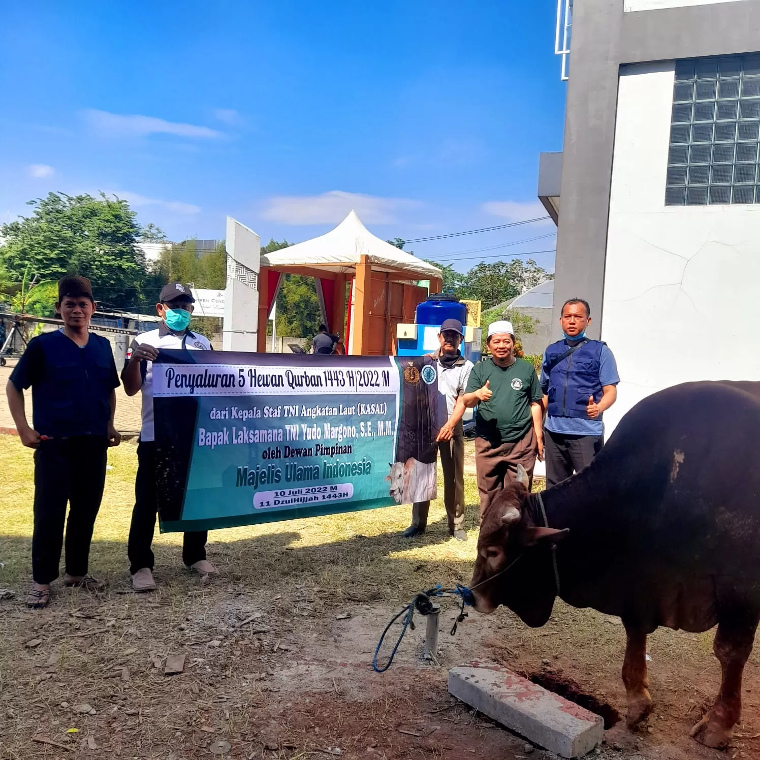 MUI Distribusikan Daging Qurban 5 Ekor Sapi dari Kasal