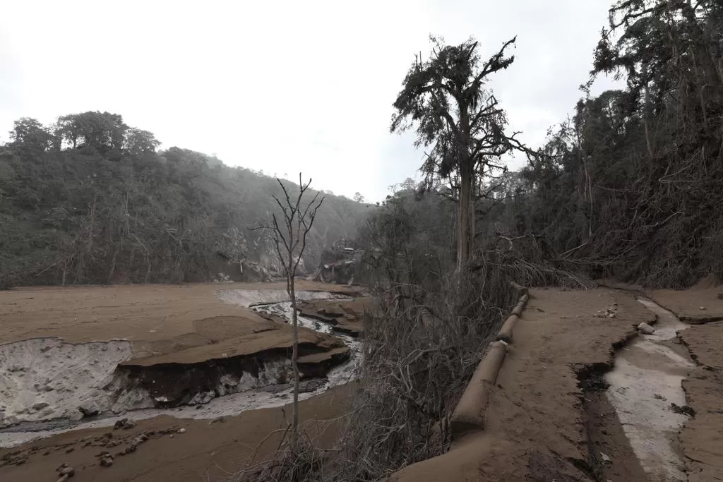 Ketum MUI Jatim Sampaikan Duka Cita untuk Korban Erupsi Semeru