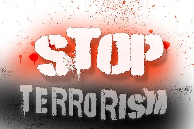 Cegah Ekstremisme dan Terorisme, BPET MUI Ajak Negara Bersinergi dengan Ormas Islam