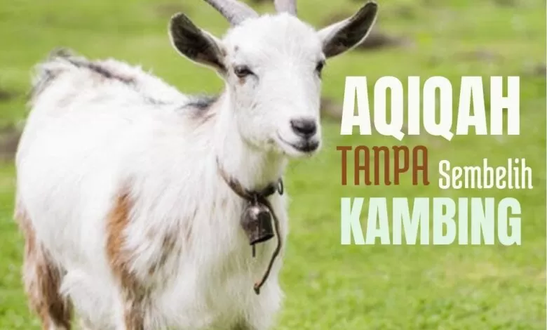 Aqiqah Anak tanpa Potong Kambing, Hukumnya Bagaimana? 