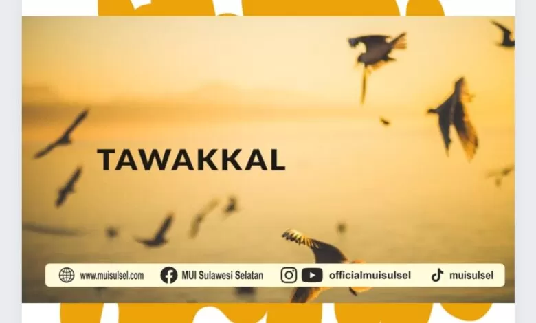 TAWAKKAL: Mewakilkan Kepada Yang Kuasa