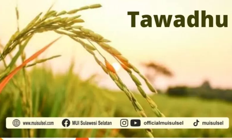 Tawadhu, Mengangkat Derajat