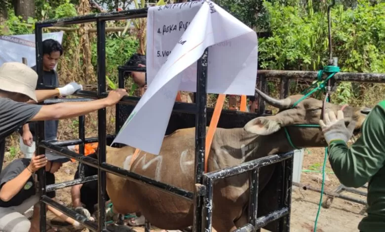 Anda Mampu? Segera Berkurban