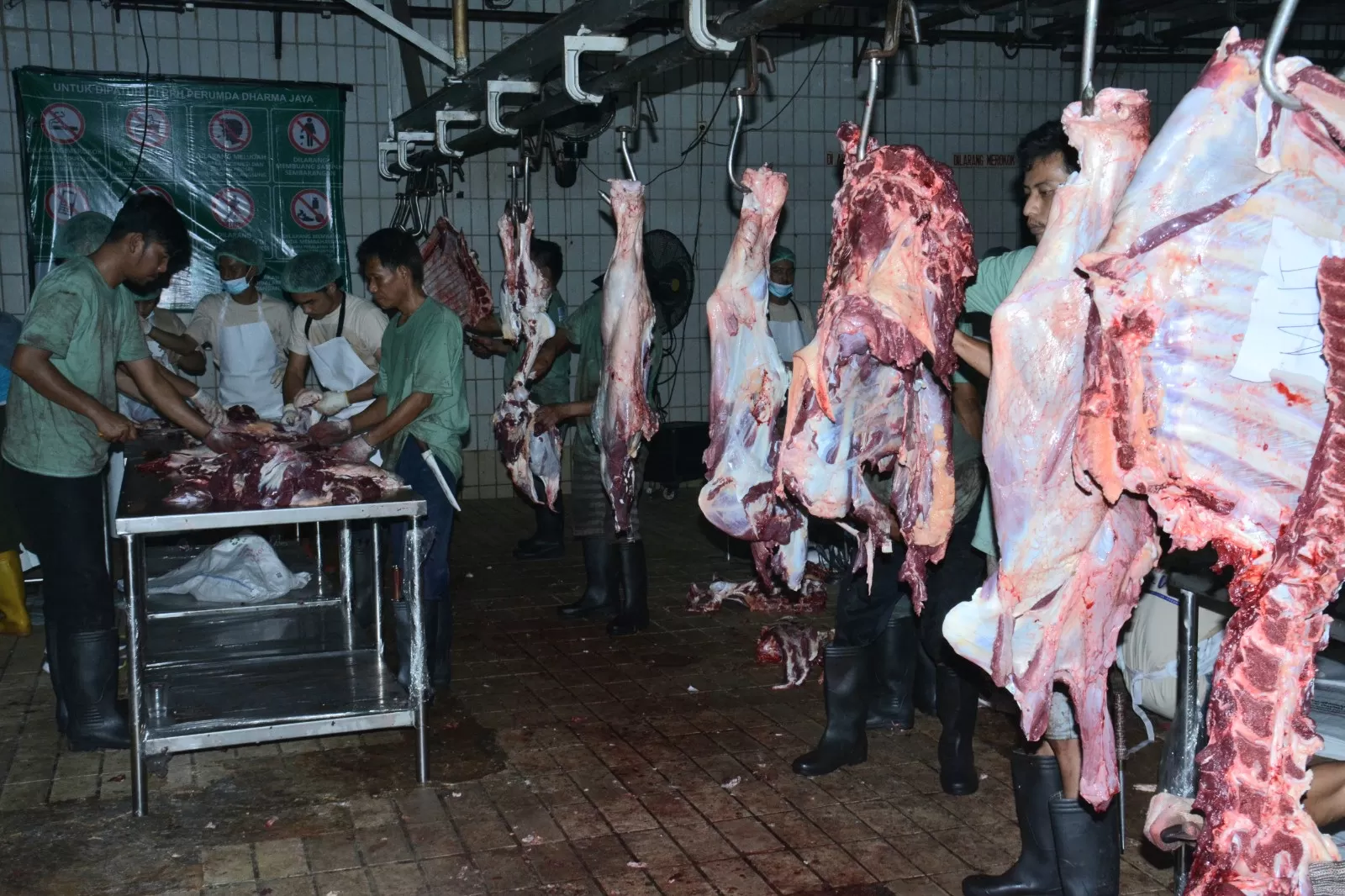 MUI Salurkan 13 Ekor Sapi Qurban kepada Masyarakat